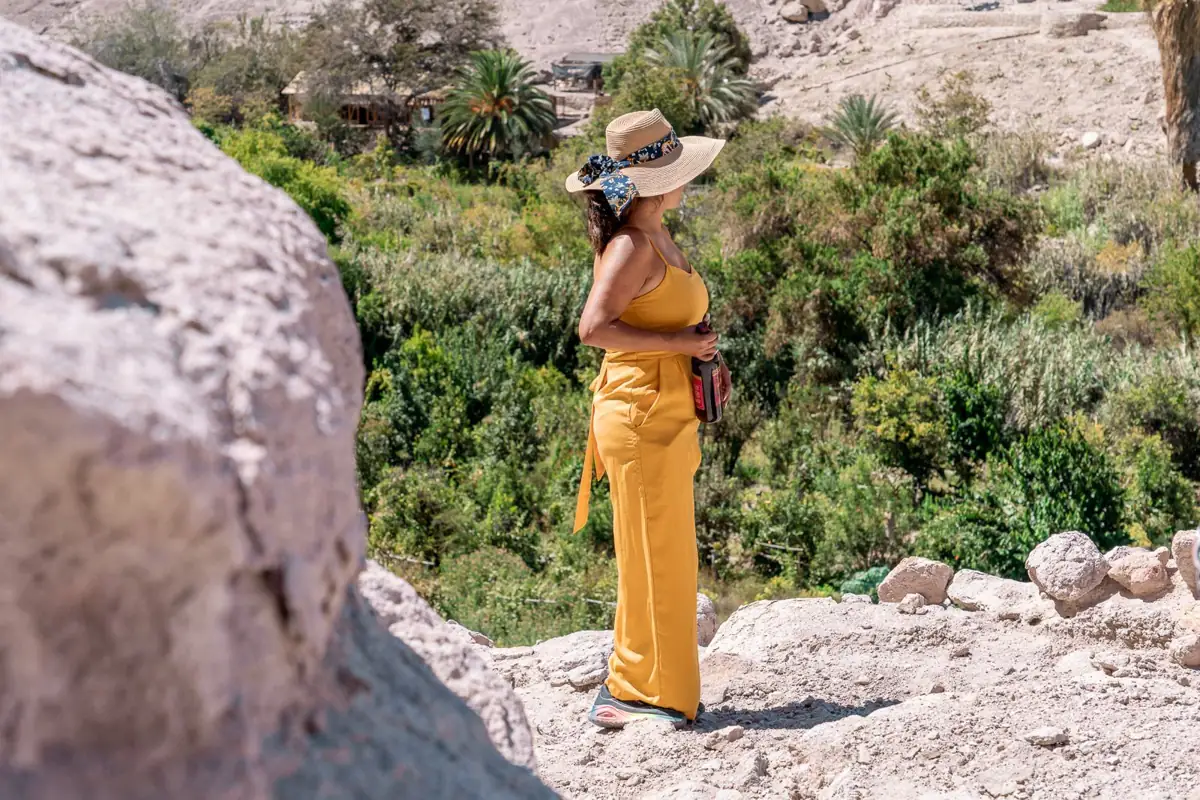 Oasis del Valle de Codpa