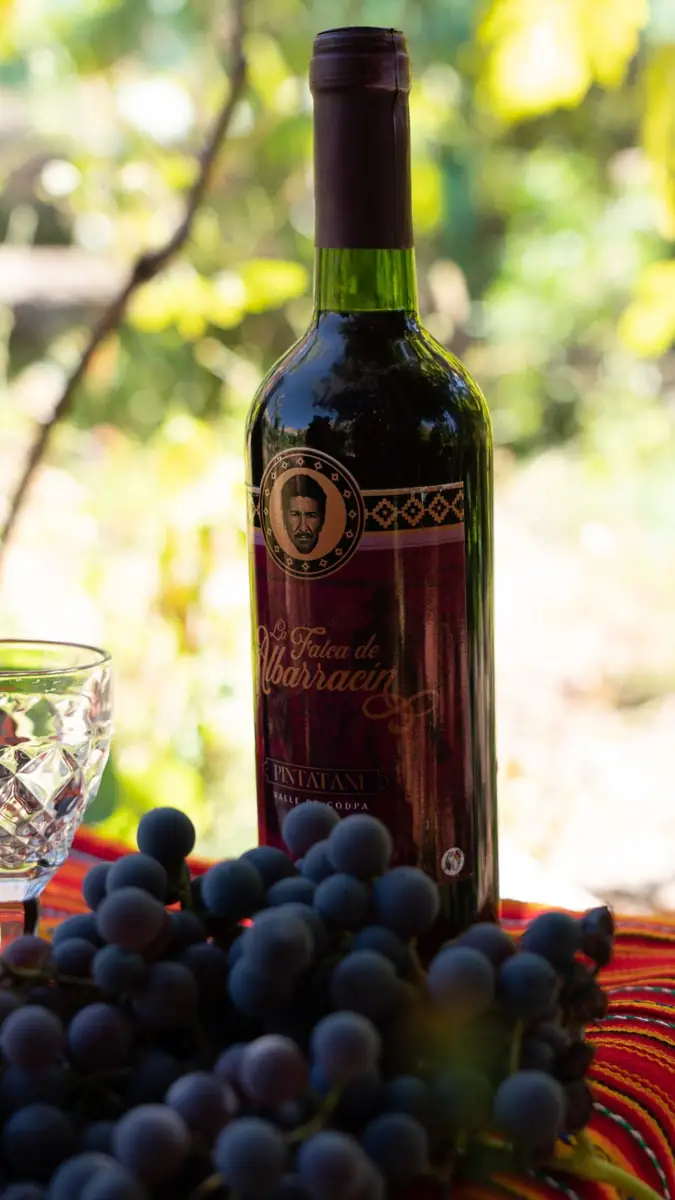 Botella de Pintatani La Falca de Albarracín con uvas