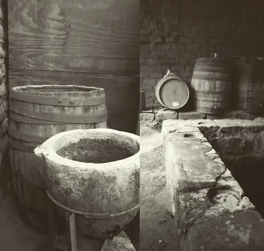 Antigua bodega con barricas
