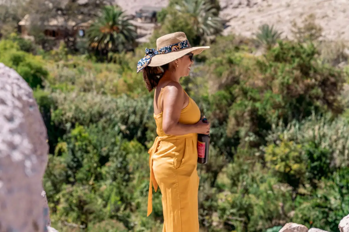 Vista al oasis de Codpa